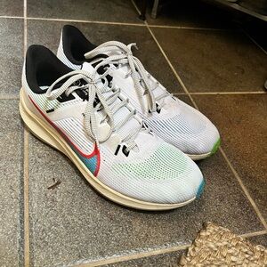 Nike Pegasus size 13